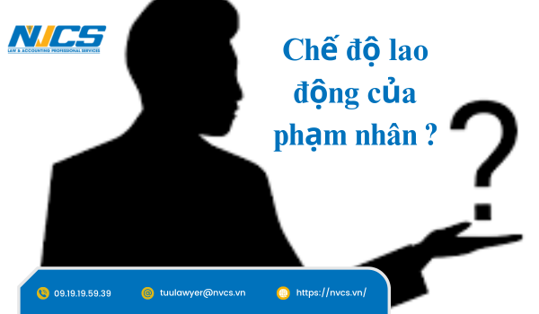 QUY ĐỊNH VỀ CHẾ ĐỘ LAO ĐỘNG , TỔ CHỨC LAO ĐỘNG, KẾT QUẢ LAO ĐỘNG CỦA PHÁP NHÂN.