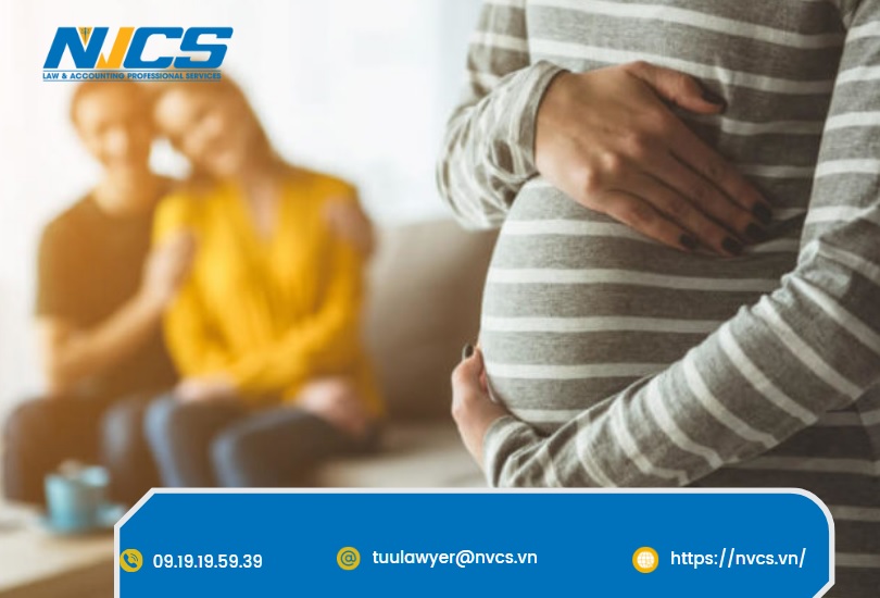 Dịch vụ luật sư giải quyết tranh chấp về mang thai hộ tại Kiên Giang - Phú Quốc