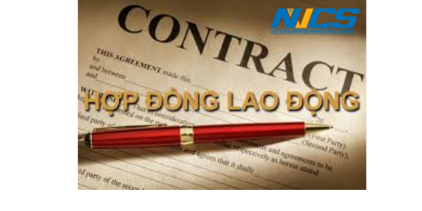 hợp đồng lao động mới nhất