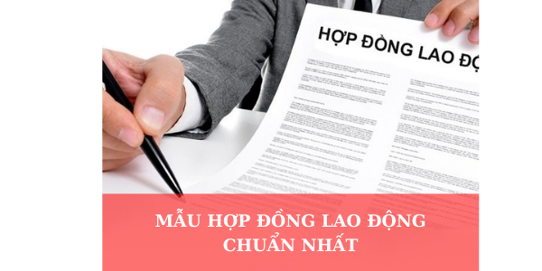 bản họp đồng lao động đúng luật