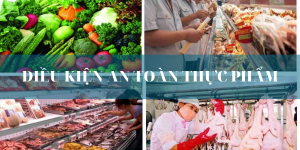 VỆ SINH AN TOÀN THỰC PHẨM TẠI THÀNH PHỐ HỒ CHÍ MINH NĂM 2024