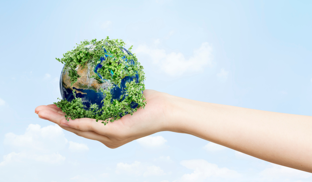 Thủ tục cấp Giấy phép môi trường 2024